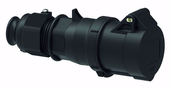 fo310461.JPG